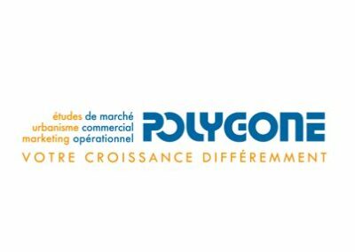 POLYGONE V SITE WEB