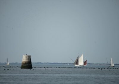 arzal navigation turballe 21-06 YML032