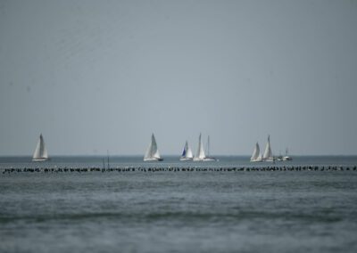 arzal navigation turballe 21-06 YML033