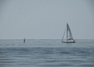 arzal navigation turballe 21-06 YML074