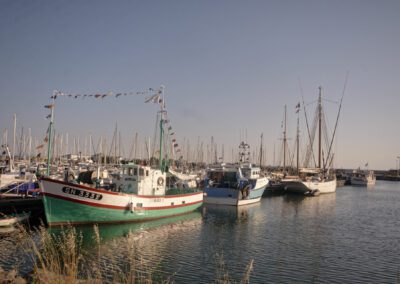 turballe port 19-06 YML001