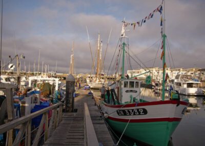 turballe port 19-06 YML008