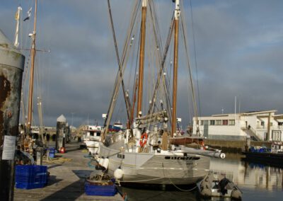 turballe port 19-06 YML009
