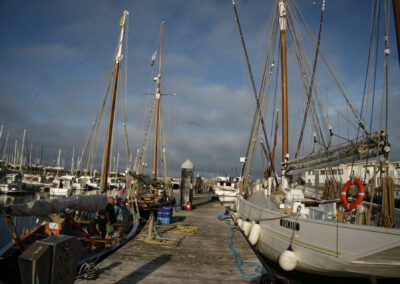 turballe port 19-06 YML010