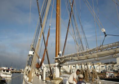 turballe port 19-06 YML012